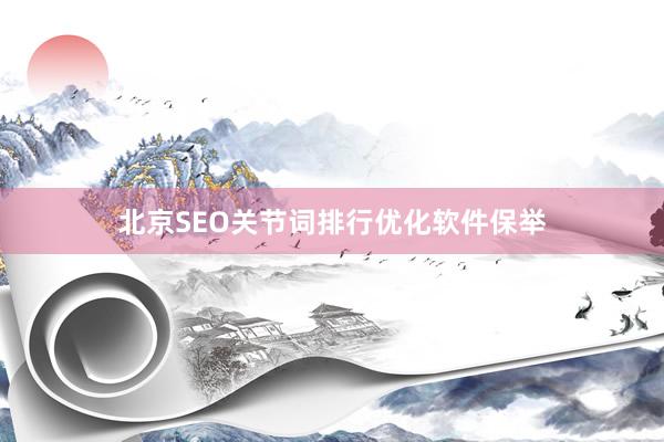 北京SEO关节词排行优化软件保举