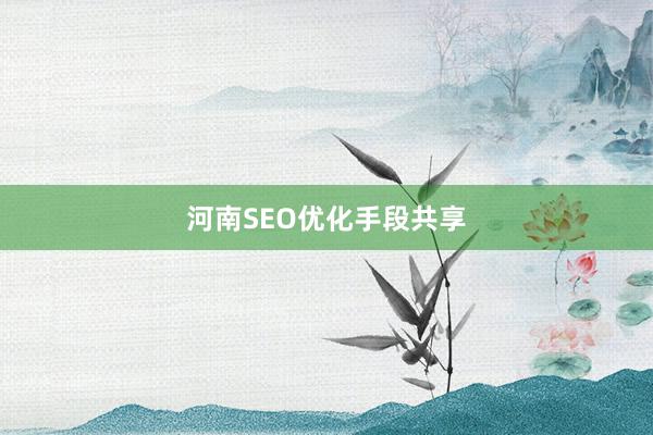 河南SEO优化手段共享