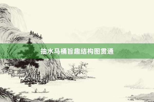 抽水马桶旨趣结构图贯通