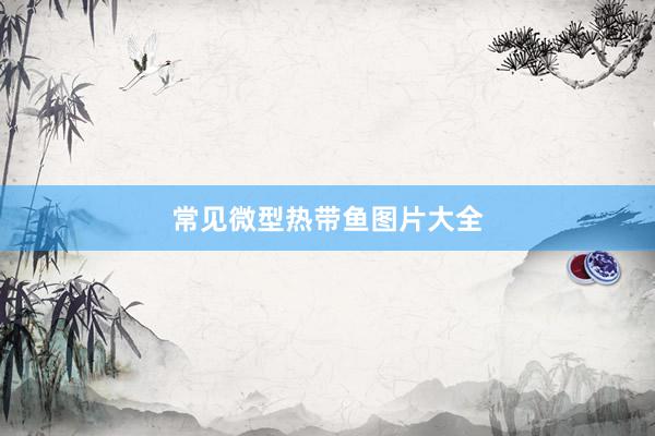 常见微型热带鱼图片大全